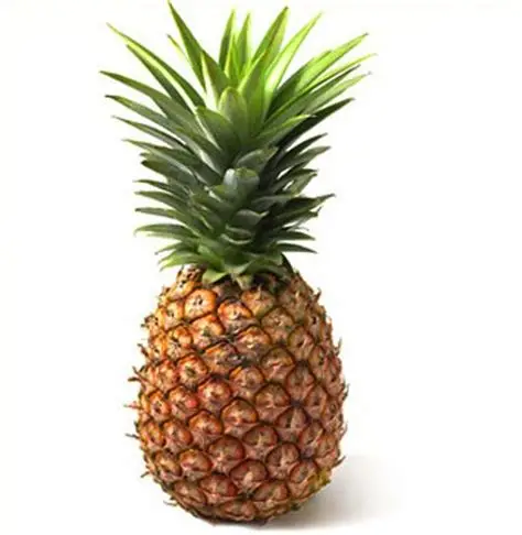 ananas en détails ananas en détails