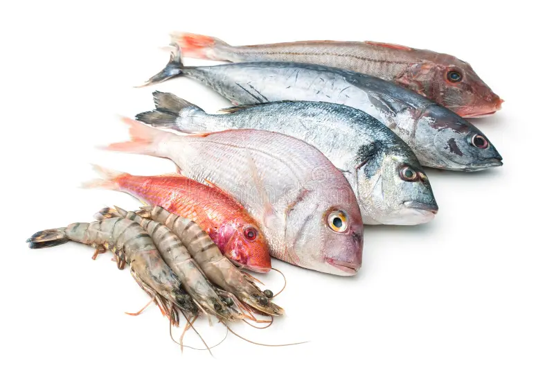 Poissons et fruits de mer frais de saison